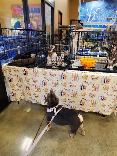 Pet Supply Store «PetSmart», reviews and photos, 300 N Congress Ave, Lake Park, FL 33403, USA