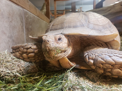 Zoo «Reptile Zoo», reviews and photos, 22715 US-2, Monroe, WA 98272, USA