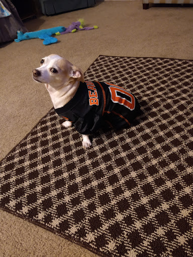 Pet Supply Store «Petco Animal Supplies», reviews and photos, 2365 NW Kings Blvd, Corvallis, OR 97330, USA