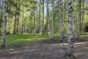 Karkkila Disc Golf Park image