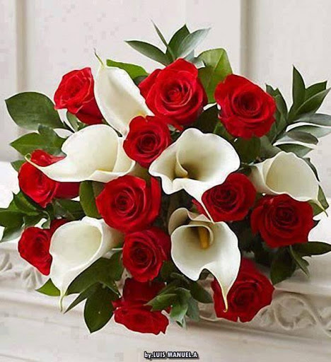 Grocery Store «El Rio Grande #1», reviews and photos, 5308 Maple Ave, Dallas, TX 75235, USA