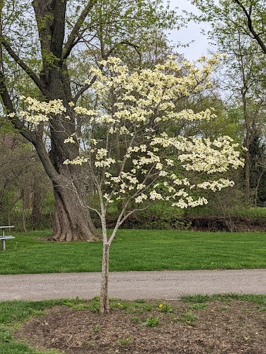 Park «Dr. James A. Dillon Park», reviews and photos, 6001 Edenshall Ln, Noblesville, IN 46060, USA