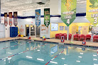 Best Swimming Courses For Babies In Indianapolis Near You