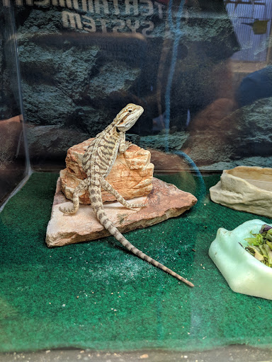 Pet Groomer «We Lov Pets», reviews and photos, 3853 Northpointe Dr, Zanesville, OH 43701, USA