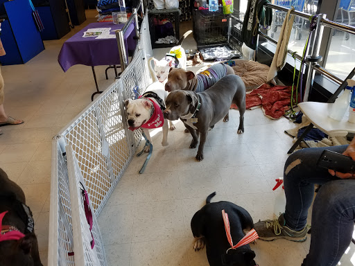 Pet Supply Store «PetSmart», reviews and photos, 79375 CA-111, La Quinta, CA 92253, USA