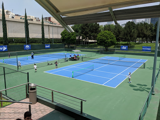 Clubs padel en Monterrey