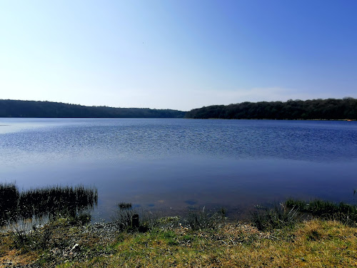 Étang de la Hardouinais à Saint-Launeuc