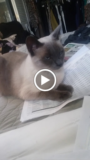 Furniture Store «west elm», reviews and photos, 700 S Village Cir, Tampa, FL 33606, USA