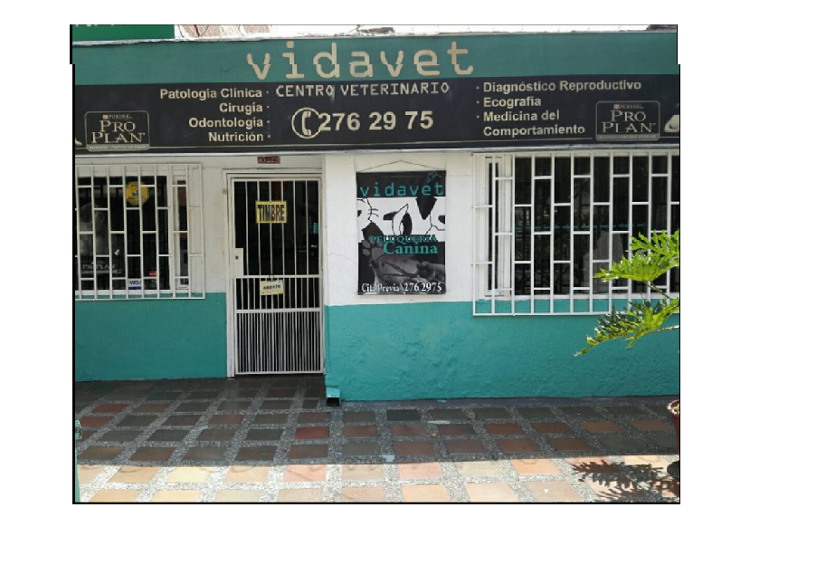 VIDAVET Centro veterinario