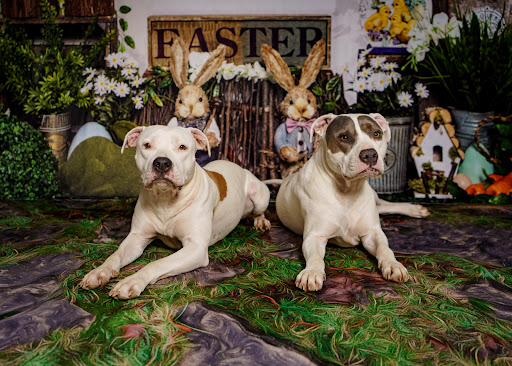 SNS Photography, LLC