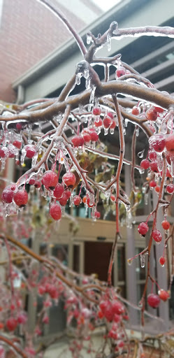 Community Center «Mason Community Center», reviews and photos, 6050 Mason Montgomery Rd, Mason, OH 45040, USA