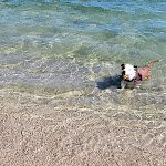 Photo n°4 de l'avis de calogero.u fait le 20/09/2023 à 22:25 sur le  Plage Soleluna à Lecce