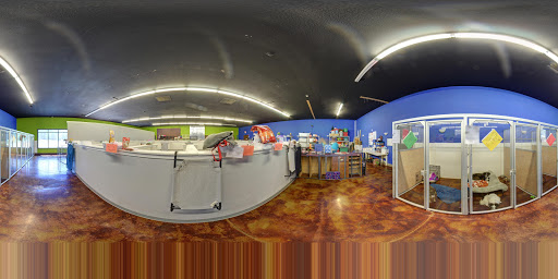 Pet Boarding Service «Pet Palace», reviews and photos, 2803 Trough Springs Rd, Clarksville, TN 37043, USA