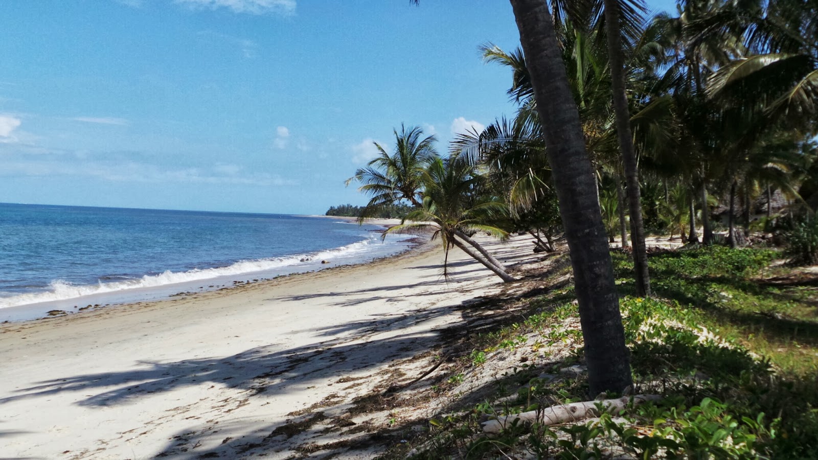 Photo de Ushongo Beach et le règlement