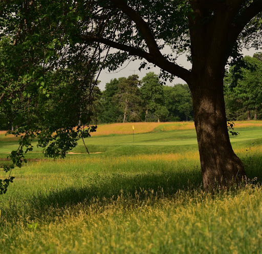 Golf Club «Golden Valley Country Club», reviews and photos, 7001 Golden Valley Rd, Golden Valley, MN 55427, USA