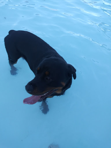 Water Park «Adventure Oasis Water Park», reviews and photos, 2100 Hub Dr, Independence, MO 64050, USA