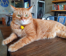 Cazz hostel&cafe - แคซโฮสเทล คาเฟ่ photo
