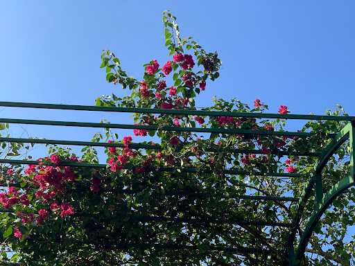 Top 10 cửa hàng đồ gỗ Huyện Đảo Cồn cỏ Quảng Trị 2022