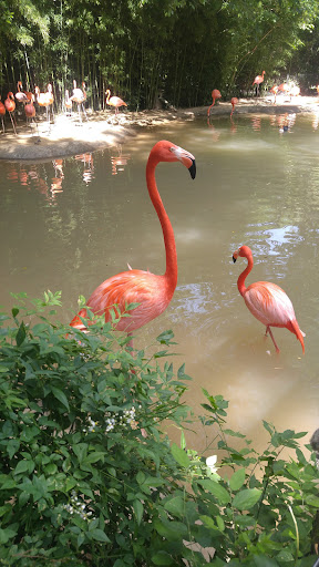 Fort Worth Zoo image 3