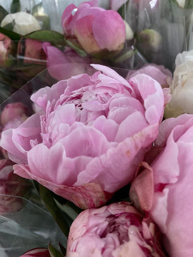 Florist «Sequoia Floral International», reviews and photos, 3245 Santa Rosa Ave, Santa Rosa, CA 95407, USA