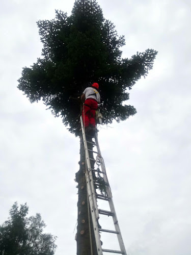 Kommentare und Rezensionen über Seydoux Richard Bûcheron-Paysagiste et bois de feu