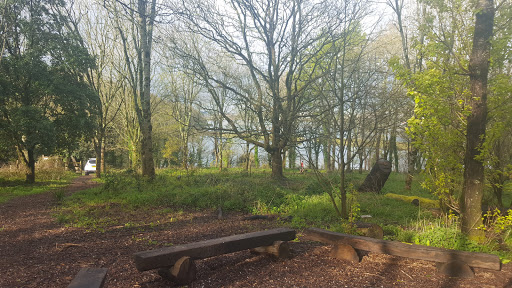 Forest School Plymouth