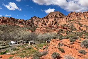 Red Cliffs National Conservation Area image