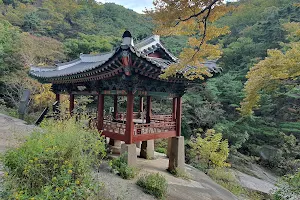 Sanyeongnu Pavilion image