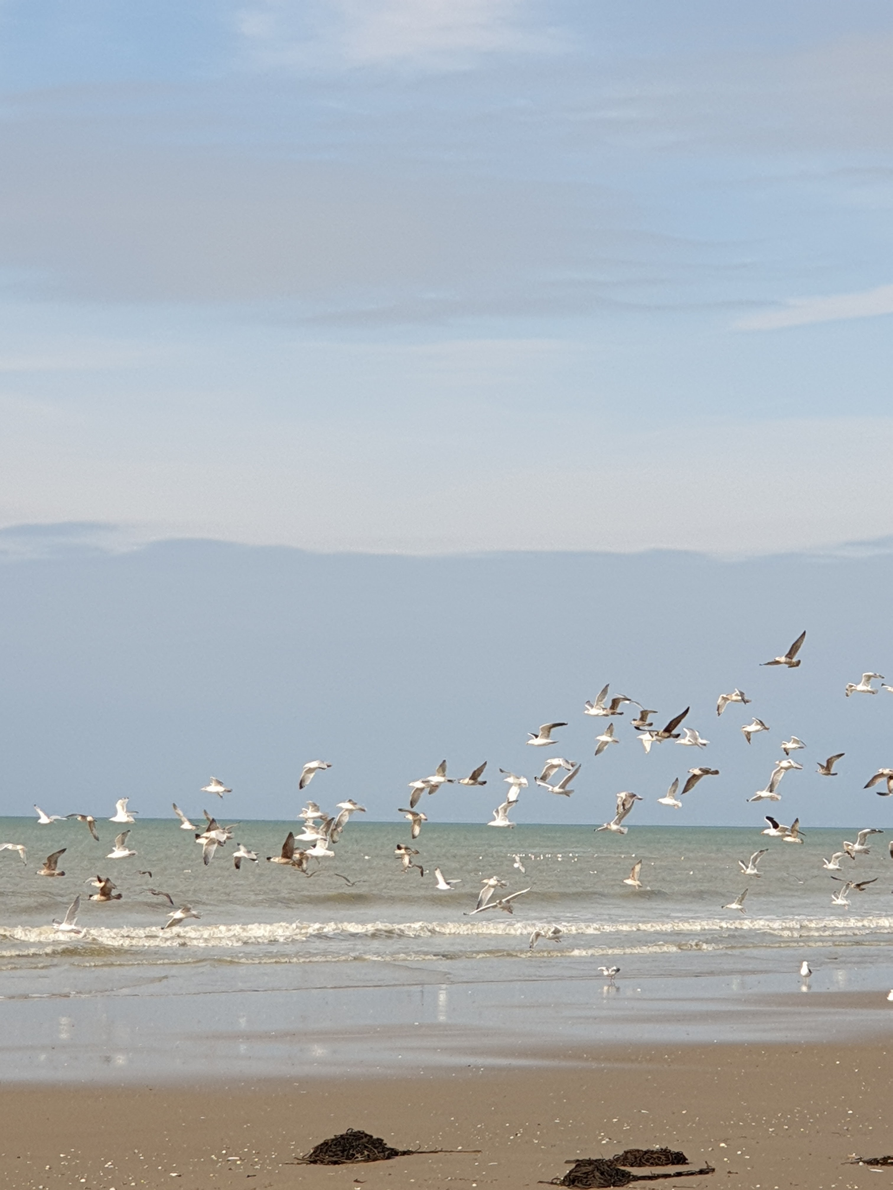Photo n° 5 de l'avis de Nat. fait le 24/10/2019 à 15:35
