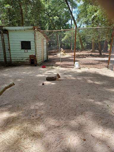 Zoo «Waccatee Zoological Farm», reviews and photos, 8500 Enterprise Rd, Myrtle Beach, SC 29588, USA