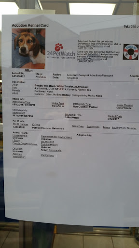 Pet Supply Store «Dogge Style Pets Passyunk», reviews and photos, 1700 E Passyunk Ave, Philadelphia, PA 19148, USA