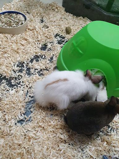 Pet Store «Pet Land», reviews and photos, 1450 Fort Campbell Blvd, Clarksville, TN 37042, USA