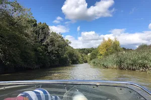 River Arun image