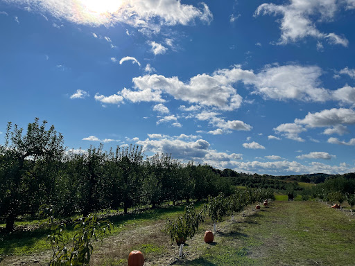 Orchard «Weed Orchards & Winery», reviews and photos, 43 Mt Zion Rd, Marlboro, NY 12542, USA