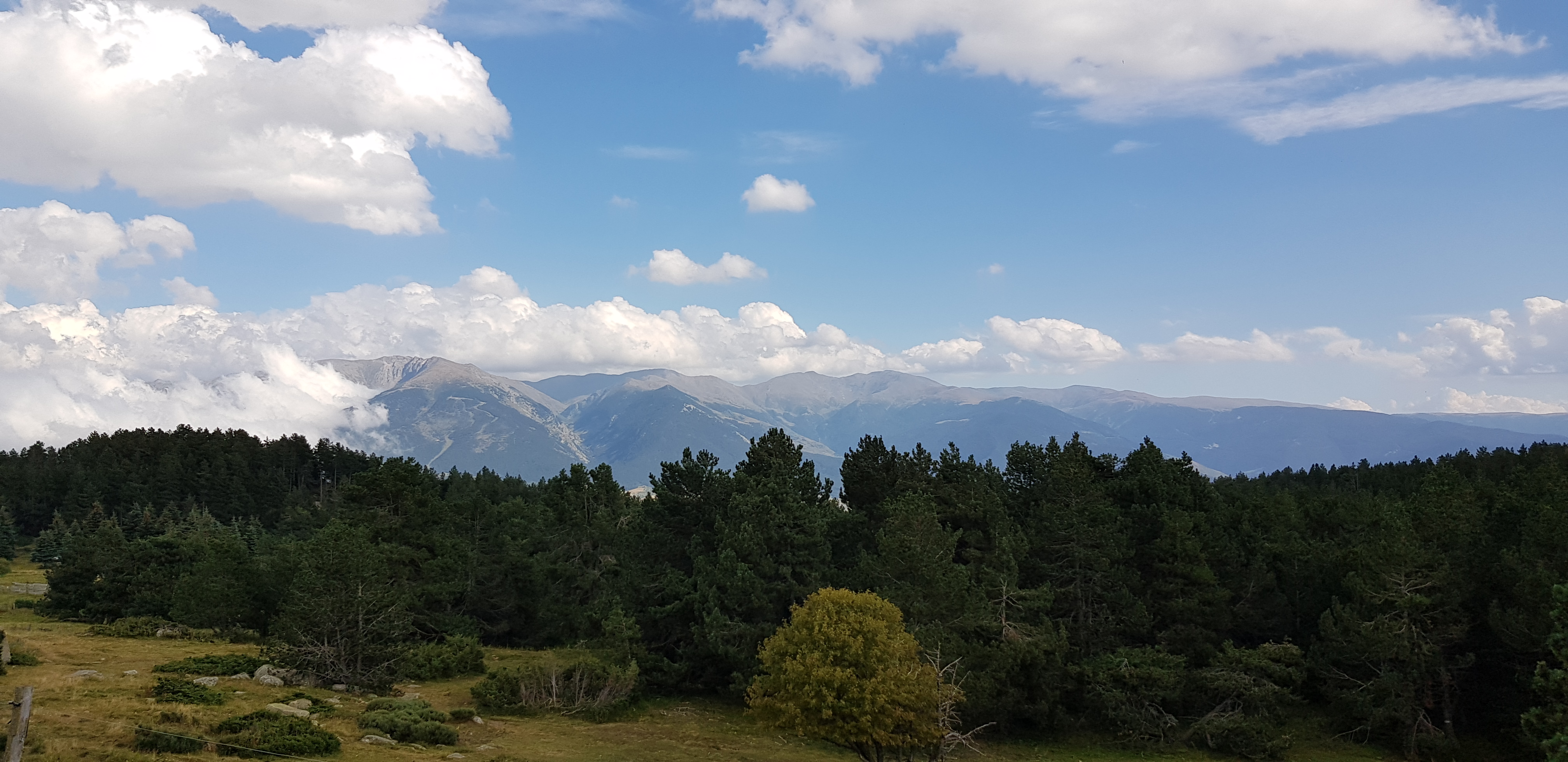 Photo n° 1 de l'avis de Gérald.O fait le 26/08/2020 à 09:15