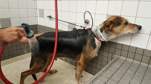 Pet Supply Store «Pet Food Express», reviews and photos, 3910 Middlefield Rd, Palo Alto, CA 94303, USA