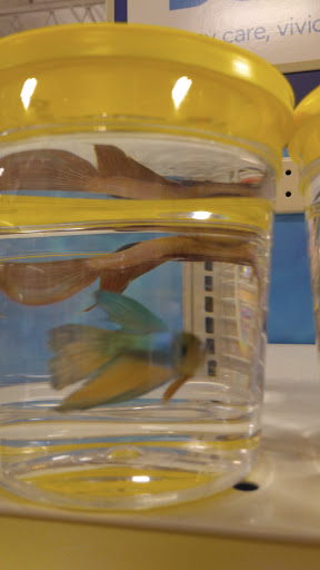 Pet Supply Store «PetSmart», reviews and photos, 2356 W State Rte 89A, Sedona, AZ 86336, USA