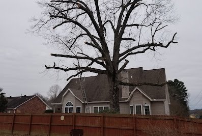 JLM Tree Servicing & Roofing