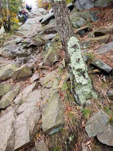 Observatory «Blue Hill Observatory Science Center Inc», reviews and photos, 1 Observatory Service Rd, Milton, MA 02186, USA