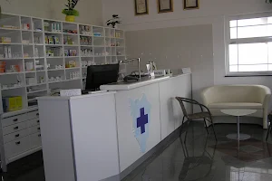 Veterinary Clinic vet Istria Ltd. image