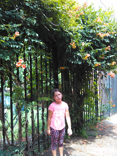 Antique Store «Downtown Antiques Mall», reviews and photos, 1 Court Square, West Plains, MO 65775, USA