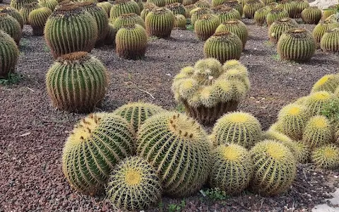 Rocks garden image