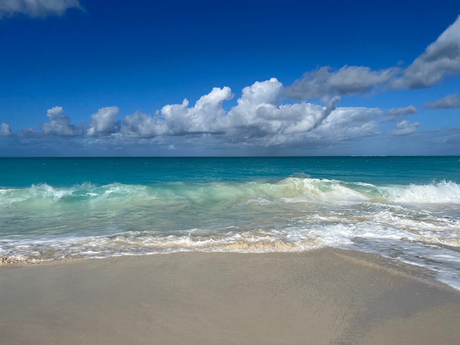 Fotografija Pine Cay beach z srednje stopnjo čistoče