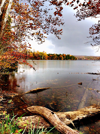 Golf Course «Pine Ridge Golf Course», reviews and photos, 2101 Dulaney Valley Road, Lutherville, MD 21093, USA