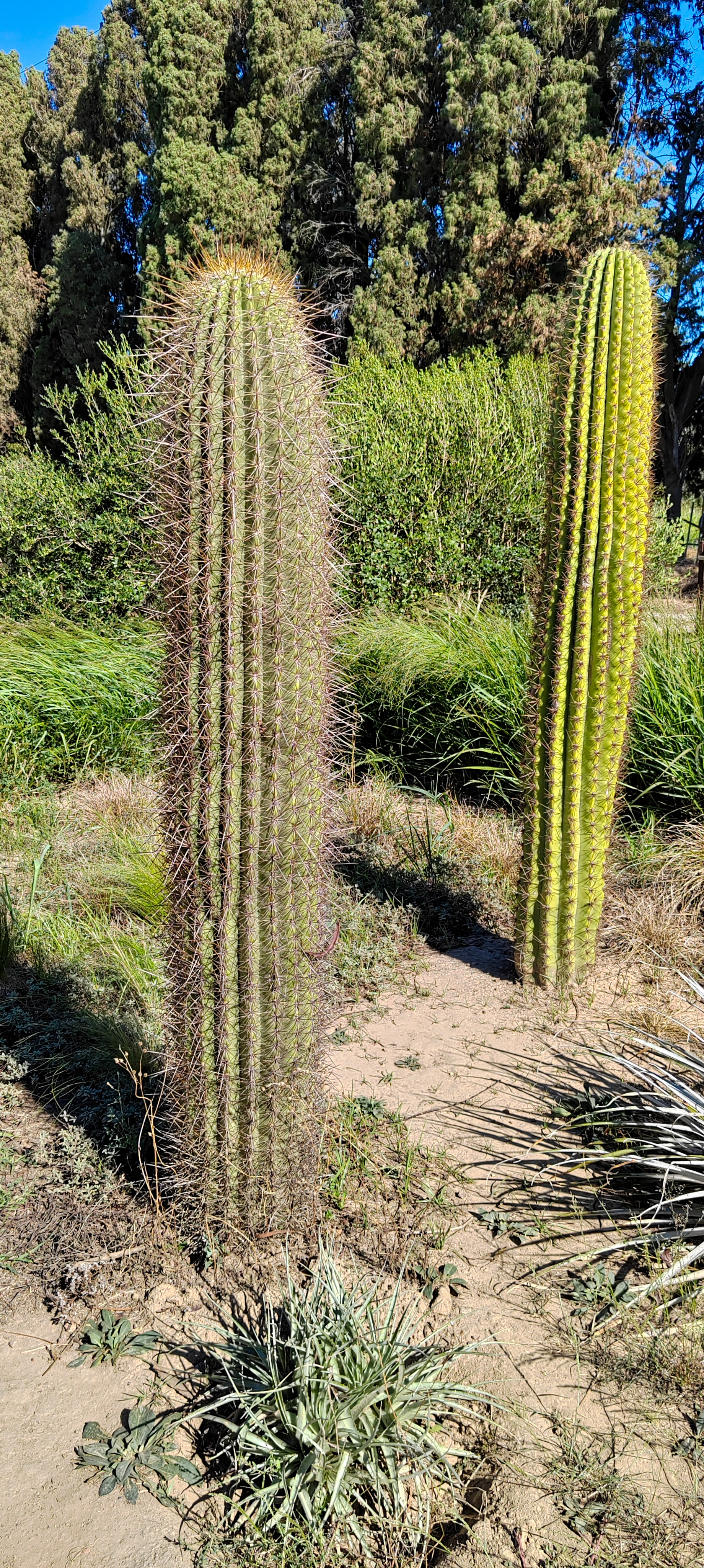 Photo n° 20 de l'avis de Dominique.A fait le 04/08/2023 à 17:09