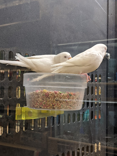 Pet Supply Store «PetSmart», reviews and photos, 28533 Marlboro Ave, Easton, MD 21601, USA