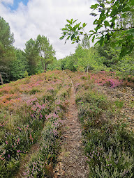Photo n°3 de Les Landes du Frau à Lavercantière ()