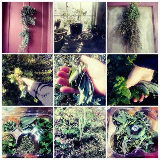 Hair Salon «Allure Hair Studio», reviews and photos, 3 Mason St, Coventry, CT 06238, USA