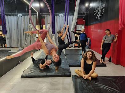 Evolve Pole Fitness and Aerial Arts Studio - North Arroyo Street, R. Castillo St, Davao City, Davao del Sur, Philippines