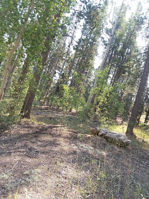 Bear Trap County Park - photo 56